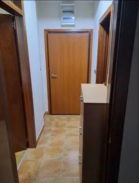 Izdavanje, jednosoban stan, 50m², Zagorič, Podgorica - image 4