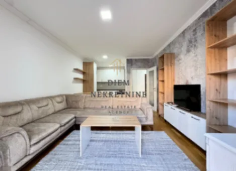 Izdavanje, jednosoban stan, 55m², Ljubović, Podgorica - image 9