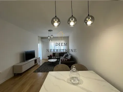 Izdavanje, jednosoban stan, 49m², Central Point, Podgorica - image 11