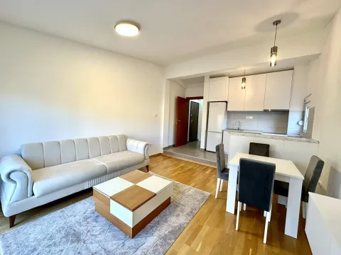 Izdavanje, jednosoban stan, 50m², Zagorič, Podgorica - image 3