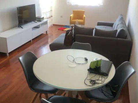 Izdavanje, jednosoban stan, 45m², Stari Aerodrom, Podgorica - image 2