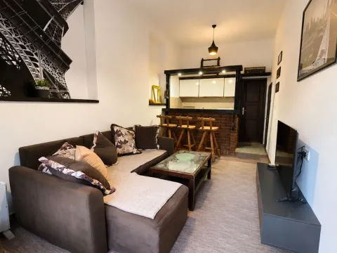 Rent, one bedroom apartment, 40m², Vranići, Podgorica - image 1