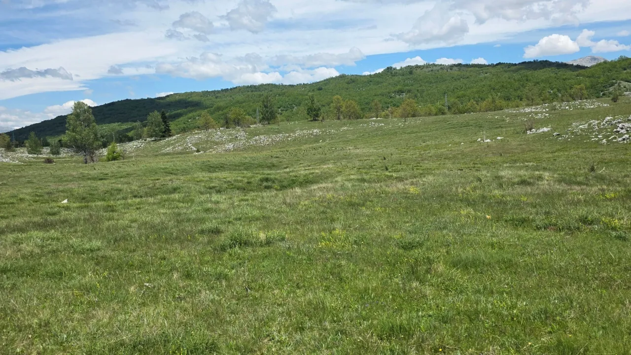 Sale, land lot, 13000m², Donja Brezna, Plužine