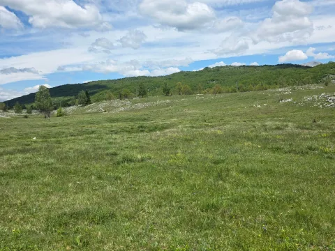 Prodaja, plac, 13000m², Donja Brezna, Plužine - image 1