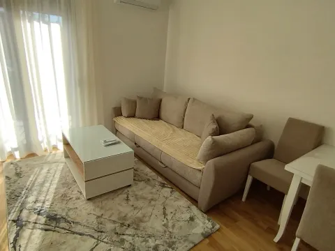 Rent, one bedroom apartment, 40m², Zabjelo, Podgorica - image 2