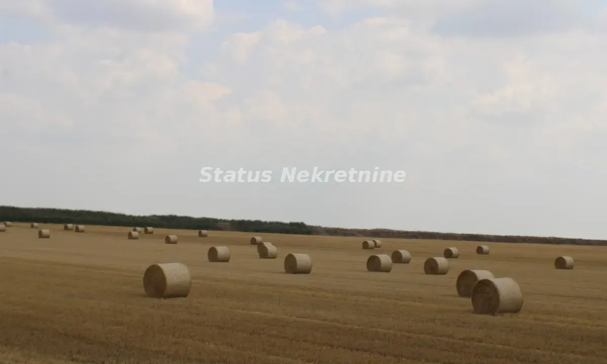 Prodaja, plac, 61m², Žabalj, Srbija