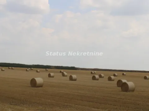 Sale, land lot, 61m², Žabalj, Srbija