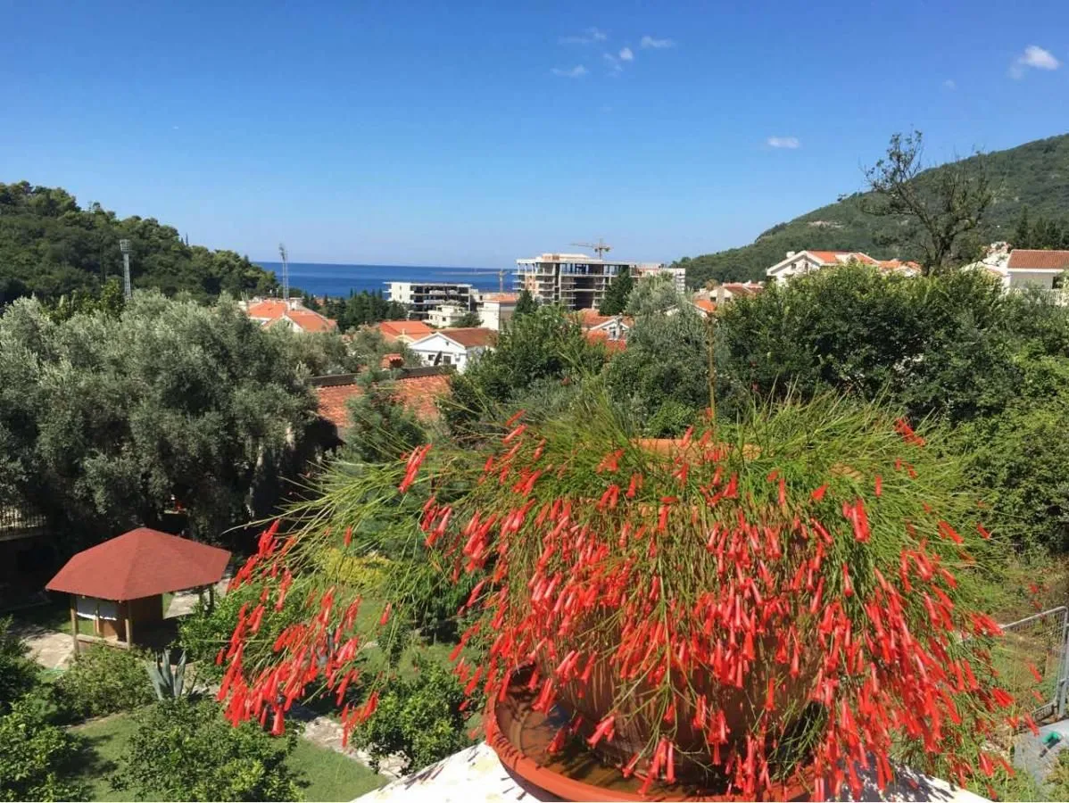 Sale, two bedroom apartment, 58m², Petrovac, Budva