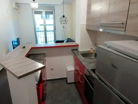 Izdavanje, dvosoban stan, 33m², Vračar Sve Podlokacije, Beograd - image 5