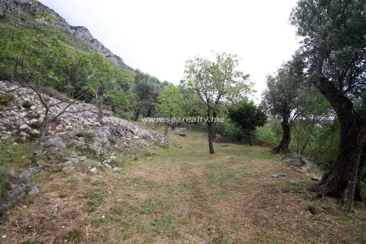 Prodaja, plac, 2600m², Reževići, Budva