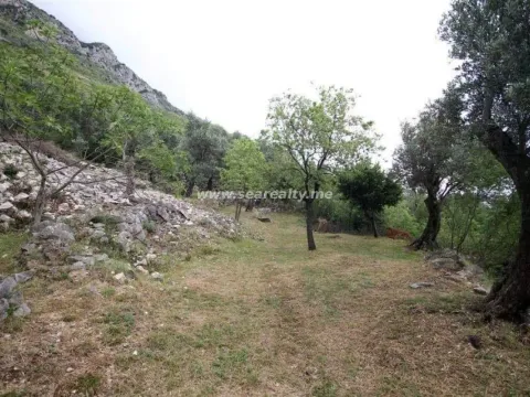 Prodaja, plac, 2600m², Reževići, Budva - image 13