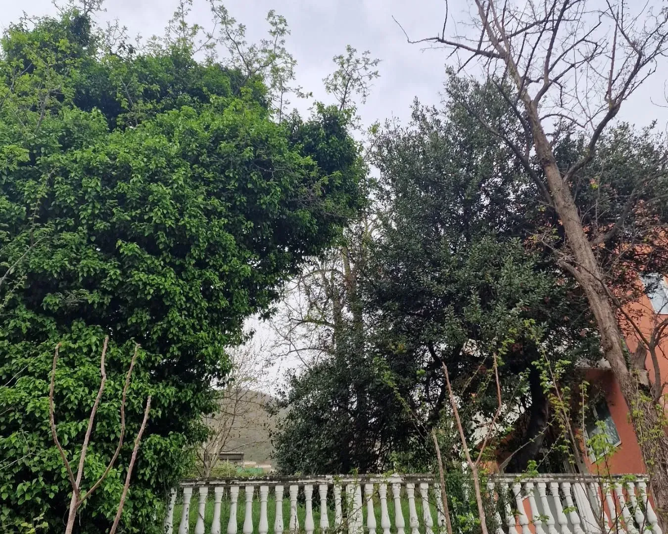 Prodaja, plac, 420m², Bijela, Herceg Novi