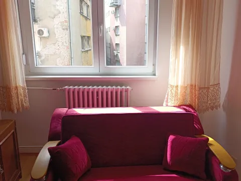 Rent, one bedroom apartment, 23m², Vračar Hram, Vračar Sve Podlokacije - image 2