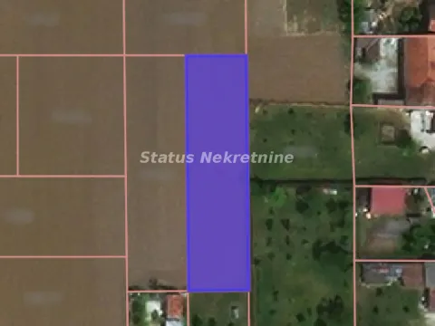 Prodaja, plac, 565m², Futog, Novi Sad Sve Podlokacije - image 1