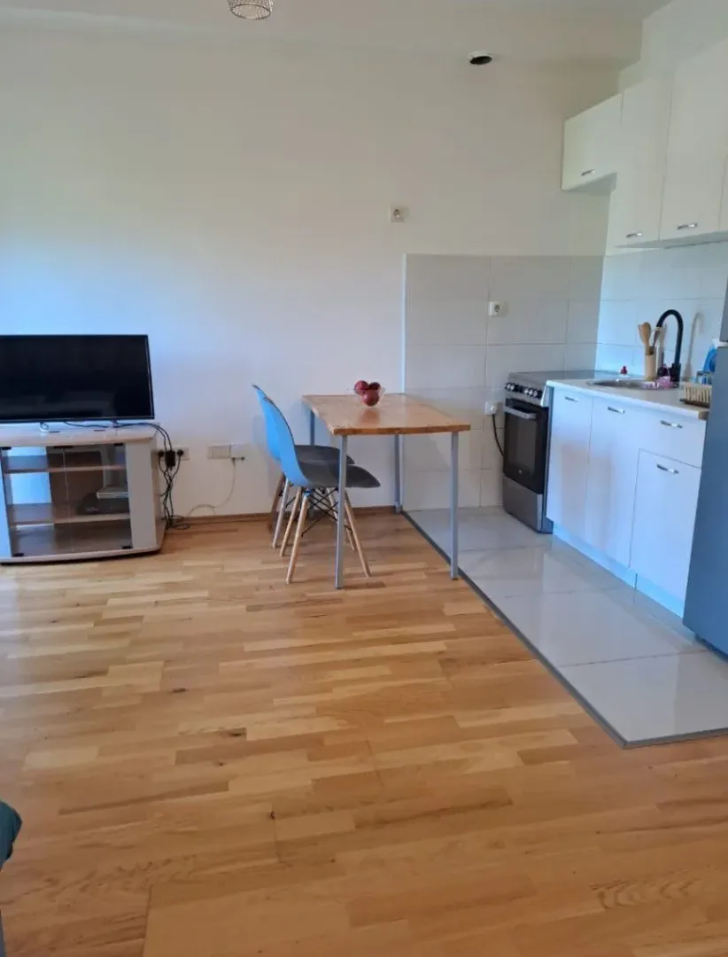 Izdavanje, garsonjera, 25m², Zabjelo, Podgorica