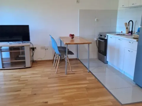 Izdavanje, garsonjera, 25m², Zabjelo, Podgorica - image 6