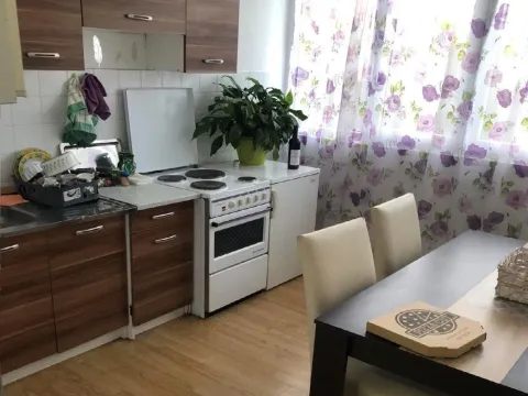 Rent, one bedroom apartment, 28m², Gintaš, Podgorica - image 3