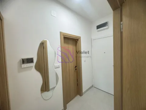 Rent, one bedroom apartment, 35m², Zabjelo, Podgorica - image 5