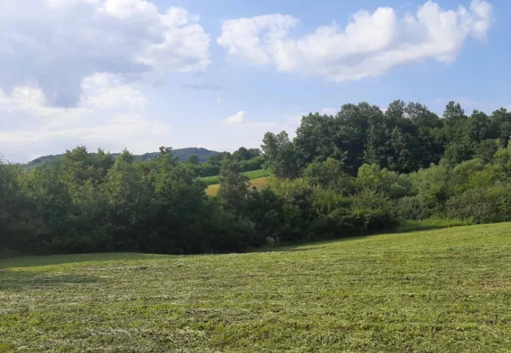 Prodaja, plac, 14000m², Tijanje, Lučani