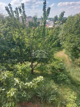 Pogled na zeleno dvorište puno drveća i rastinja sa zgradama u pozadini. - image 18