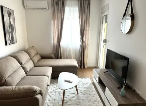 Izdavanje, jednosoban stan, 44m², Pobrežje, Podgorica - image 4