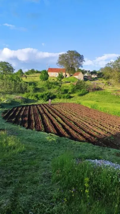 Sale, land lot, 136000m², Dubočke, Nikšić