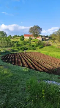 Zemljište in Dubočke