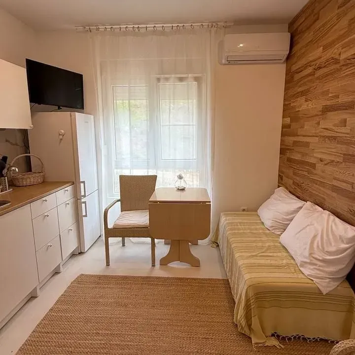 Rent, one bedroom apartment, 24m², Lazi, Budva