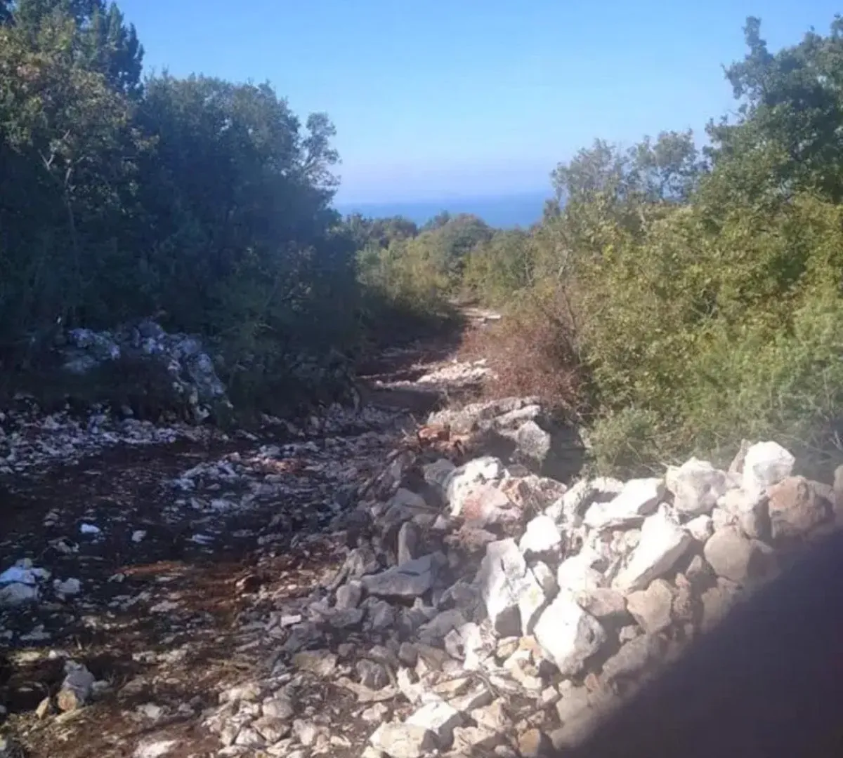 Prodaja, plac, 5600m², Bar, Crna Gora
