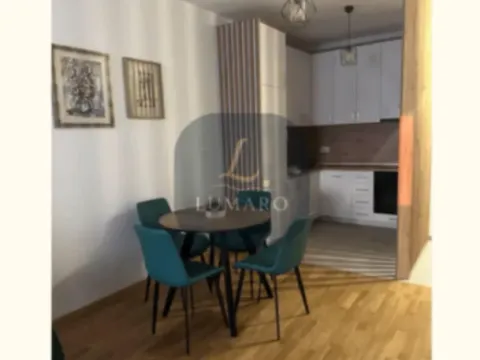 Izdavanje, jednosoban stan, 47m², Stari Aerodrom, Podgorica - image 3