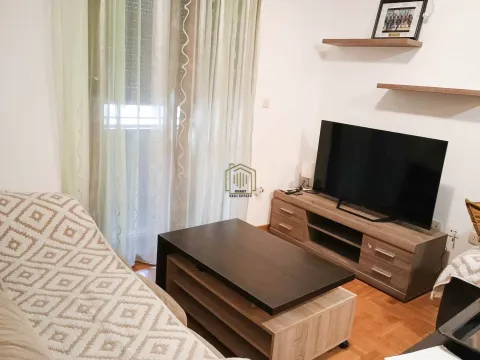 Izdavanje, jednosoban stan, 43m², Stari Aerodrom, Podgorica - image 3