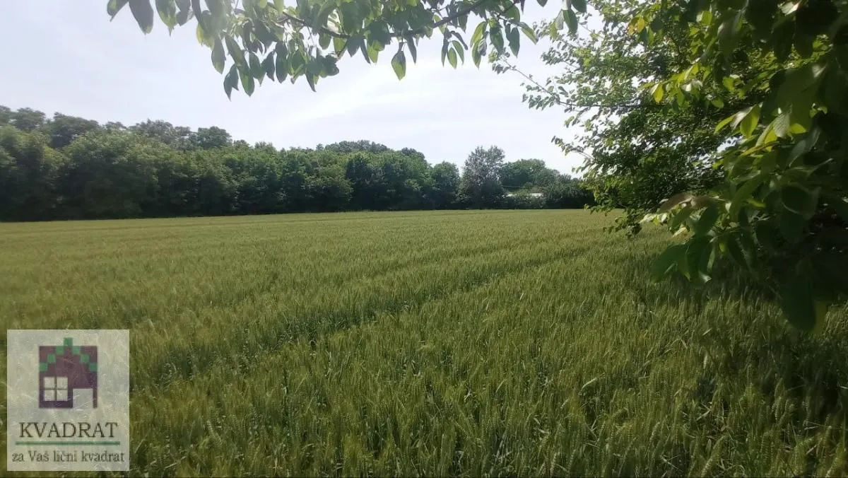 Sale, land lot, 7600m², Brgulice, Obrenovac