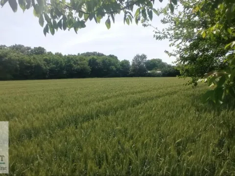 Sale, land lot, 7600m², Brgulice, Obrenovac - image 2