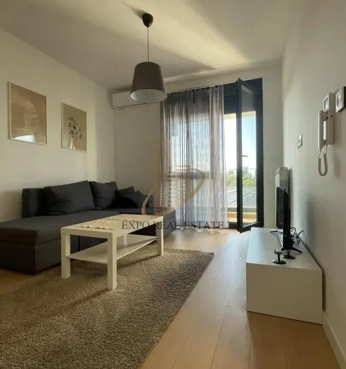 Izdavanje, jednosoban stan, 45m², Tošin bunar, Novi Beograd Sve Podlokacije