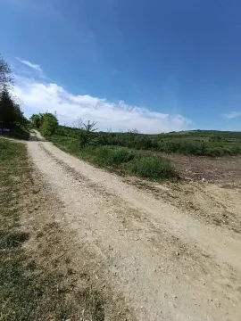 Zemljani put koji vodi do placa sa okolnim zelenilom. - image 3