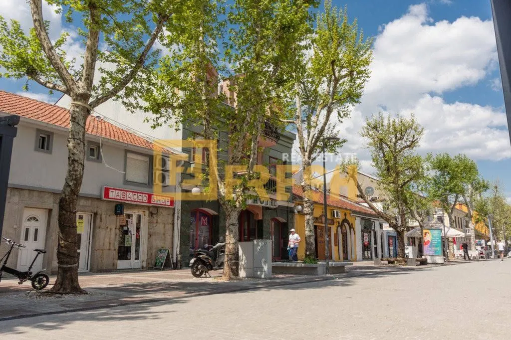 Prodaja, ugostiteljski objekat, 722m², Centar, Podgorica