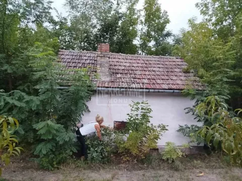 Sale, house, 22m², Peščara, Subotica - image 3