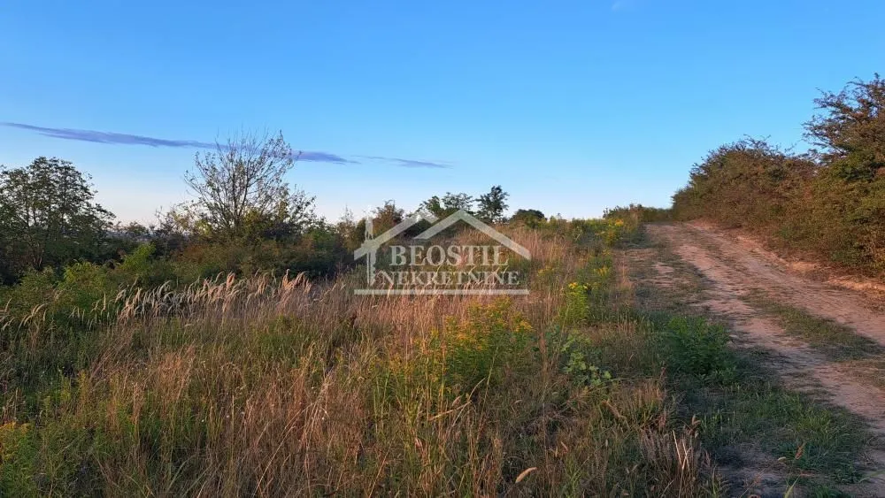 Prodaja, plac, 2800m², Višnjica, Palilula Sve Podlokacije