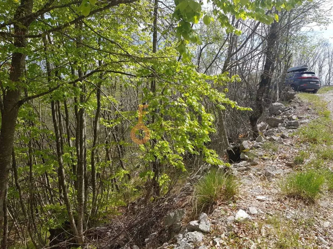 Prodaja, plac, 189352m², Cetinje, Crna Gora
