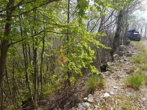 Prodaja, plac, 189352m², Cetinje, Crna Gora - image 13