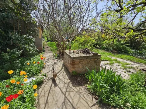 Prodaja, kuća, 163m², Stara Pazova, Srbija - image 3