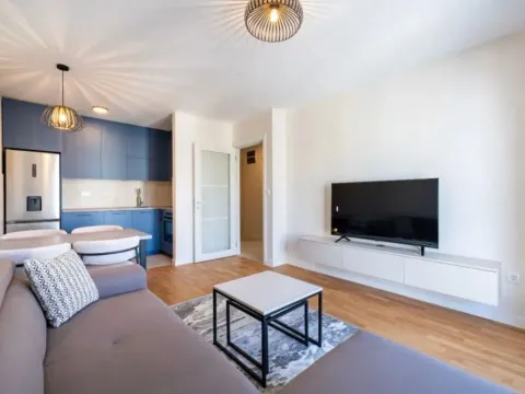 Rent, one bedroom apartment, 42m², Zabjelo, Podgorica - image 1