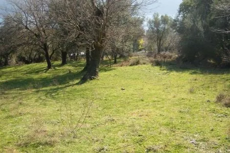 Prodaja, plac, 1843m², Herceg Novi, Crna Gora
