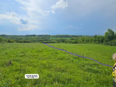 Sale, land lot, 6574m², Stepojevac, Lazarevac - image 5