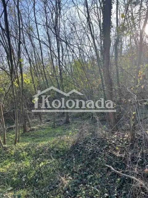 Sale, land lot, 8235m², Babe, Sopot