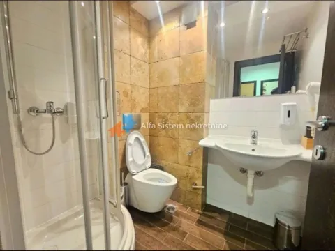 Izdavanje, četvorosoban stan, 160m², Savski Venac, Beograd - image 8