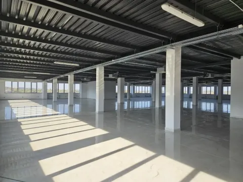 Izdavanje, poslovni prostor, 1400m², Karaburma, Palilula Sve Podlokacije