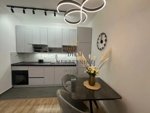 Izdavanje, jednosoban stan, 38m², Zagorič, Podgorica - image 5