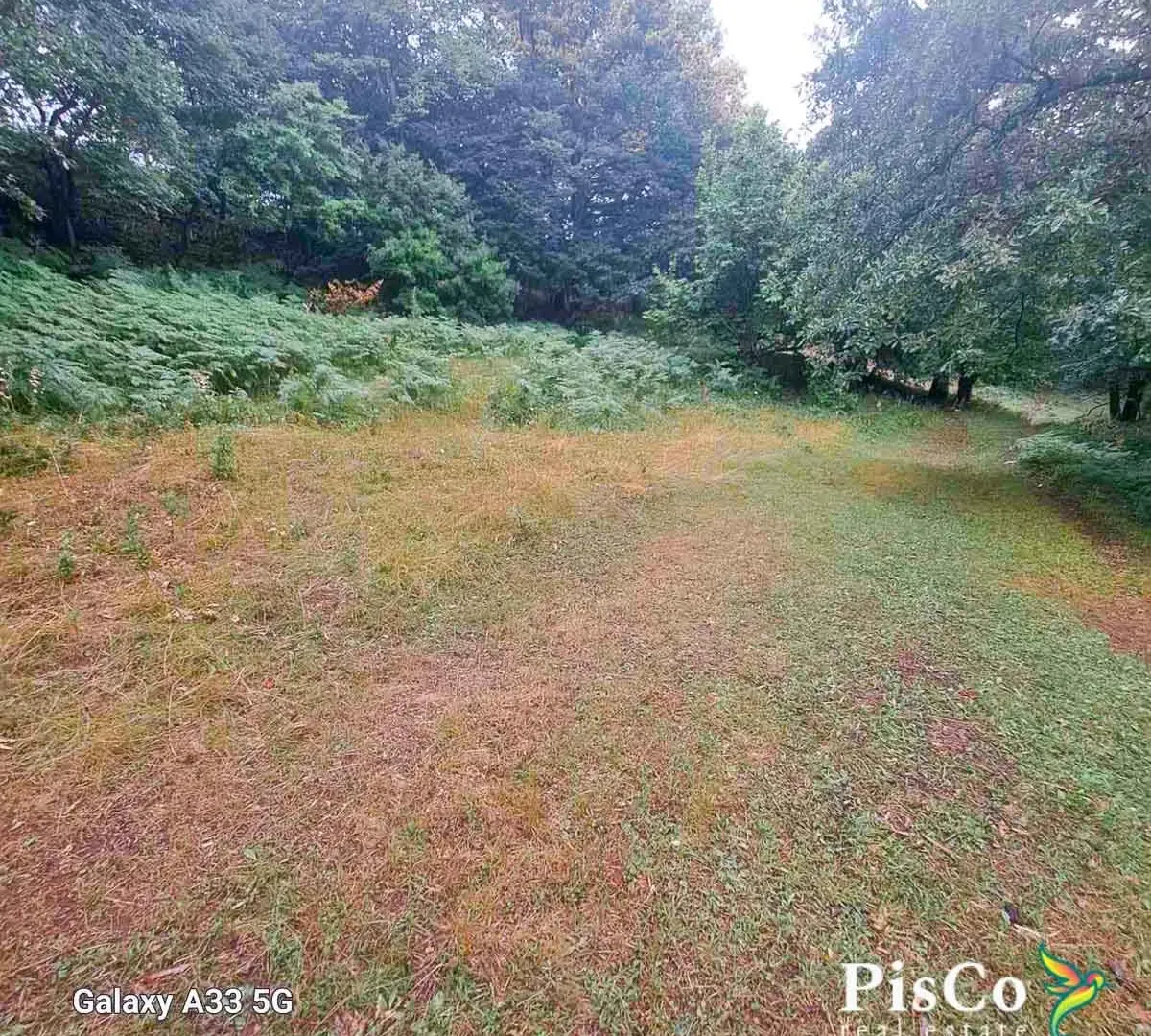 Prodaja, plac, 15000m², Pljevlja, Crna Gora
