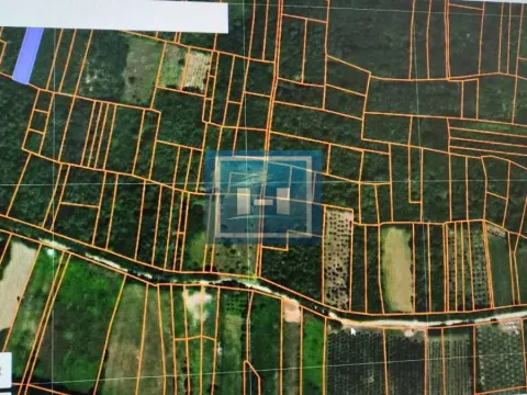 Sale, land lot, 7m², Petrovo Selo, Kladovo